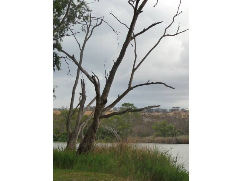 Shack 21 Younghusband Holdings, Younghusband SA 5238
