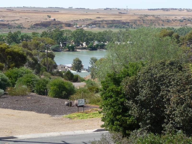 13 Busch Street, Mannum SA 5238