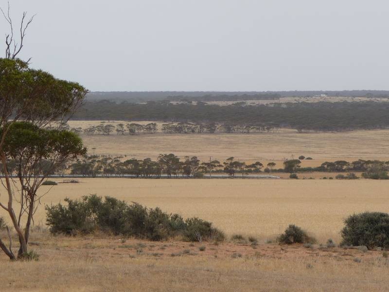 Sect 215 + 190 Blanchtown Road, Sedan SA 5353