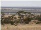 Sect 215 + 190 Blanchtown Road, Sedan SA 5353