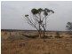 Sect 215 + 190 Blanchtown Road, Sedan SA 5353