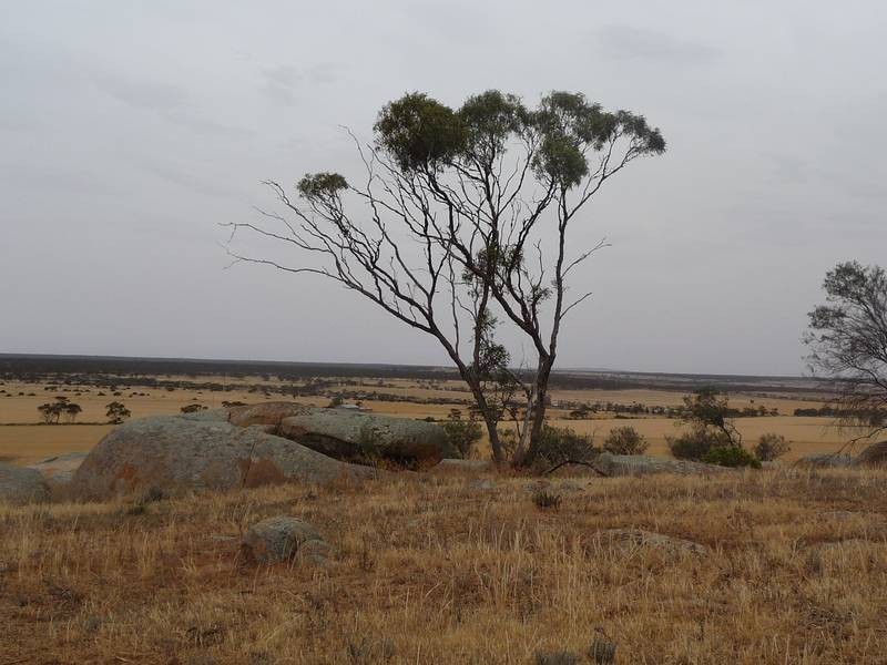 Sect 215 + 190 Blanchtown Road, Sedan SA 5353