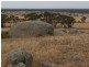 Sect 215 + 190 Blanchtown Road, Sedan SA 5353