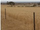 Sect 215 + 190 Blanchtown Road, Sedan SA 5353