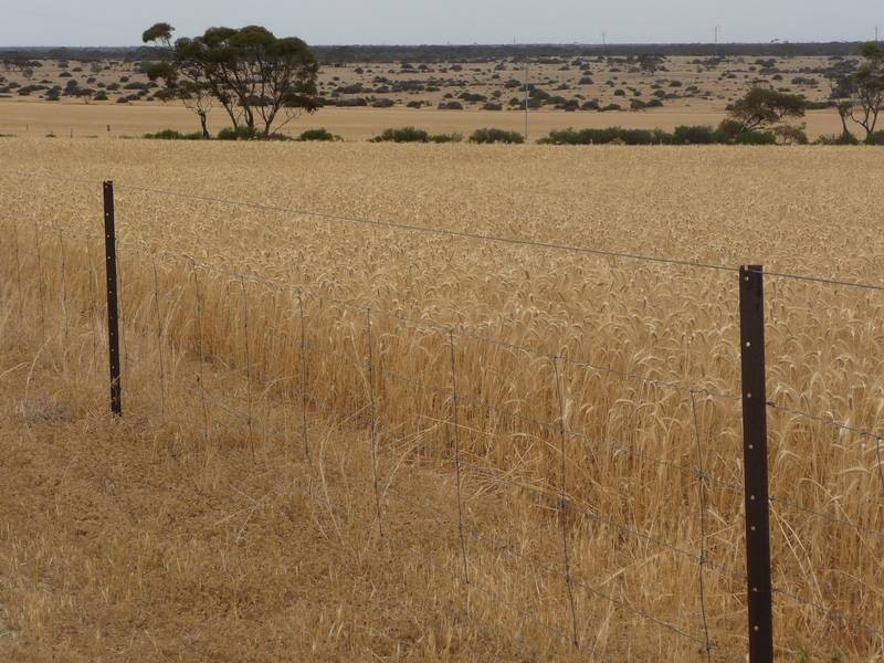 Sect 215 + 190 Blanchtown Road, Sedan SA 5353