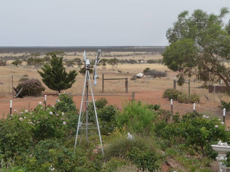 Sect 215 + 190 Blanchtown Road, Sedan SA 5353