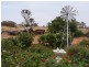 Sect 215 + 190 Blanchtown Road, Sedan SA 5353
