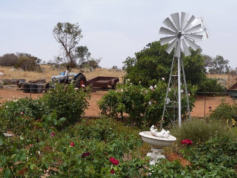 Sect 215 + 190 Blanchtown Road, Sedan SA 5353
