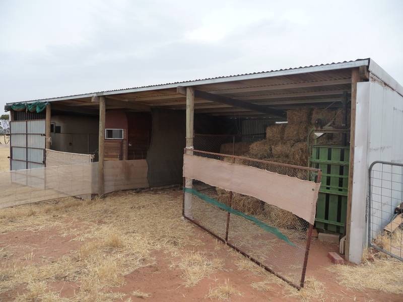 Sect 215 + 190 Blanchtown Road, Sedan SA 5353