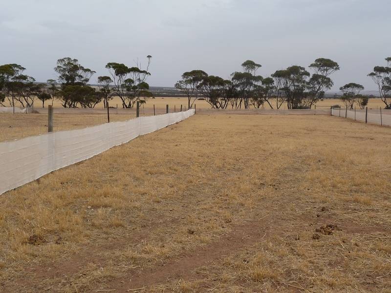 Sect 215 + 190 Blanchtown Road, Sedan SA 5353