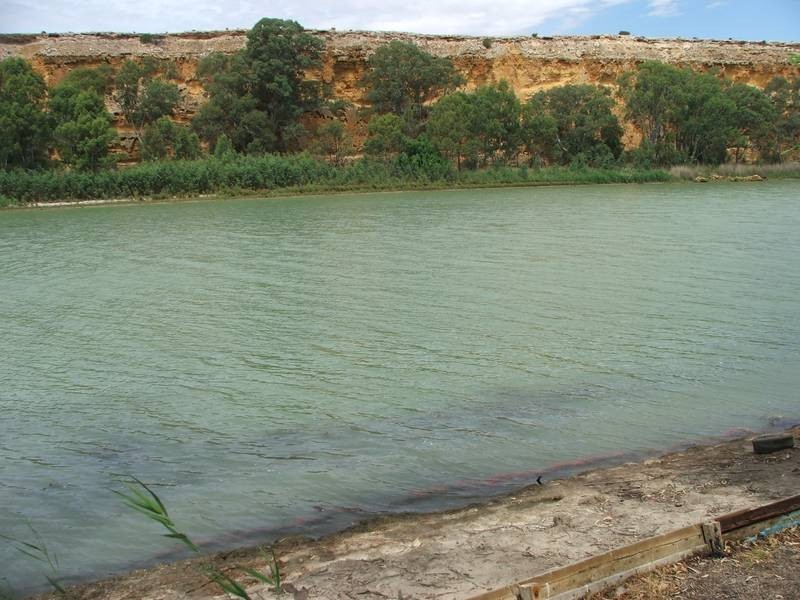 Site no 60 South Punyelroo, Punyelroo SA 5354