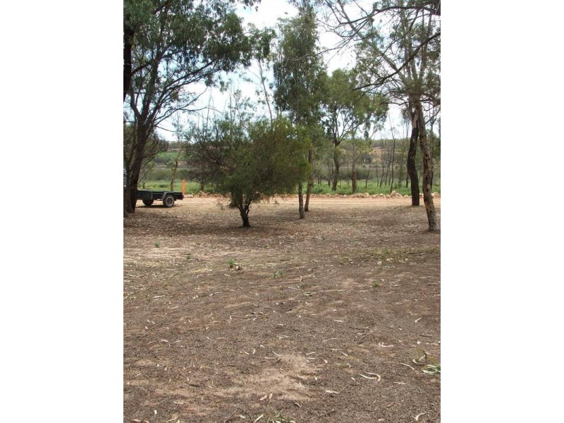 Site no 60 South Punyelroo, Punyelroo SA 5354