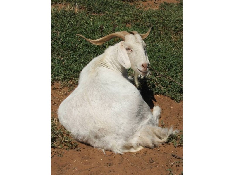 Lot 1 Keith Road, Mannum SA 5238