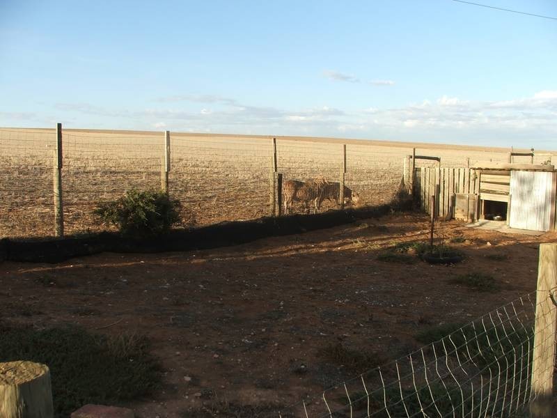 Lot 1 Keith Road, Mannum SA 5238