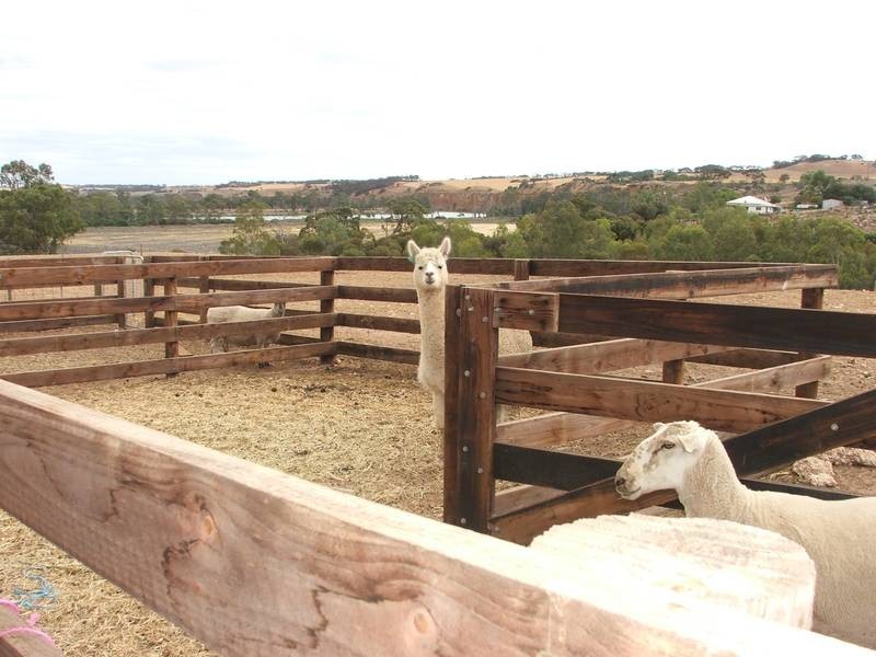 Lot 500 Mannum – Walker Flat Road, Mannum SA 5238