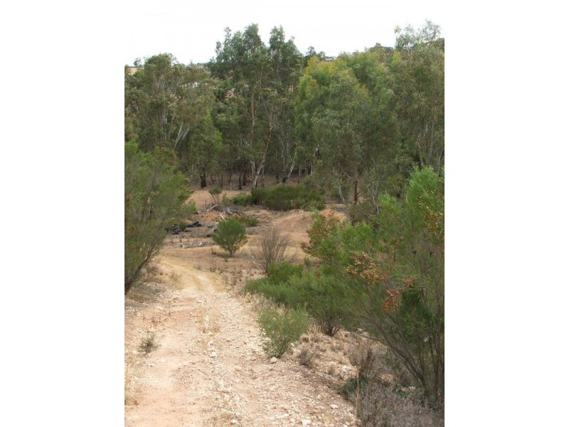 Lot 500 Mannum – Walker Flat Road, Mannum SA 5238
