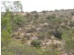 Lot 500 Mannum – Walker Flat Road, Mannum SA 5238