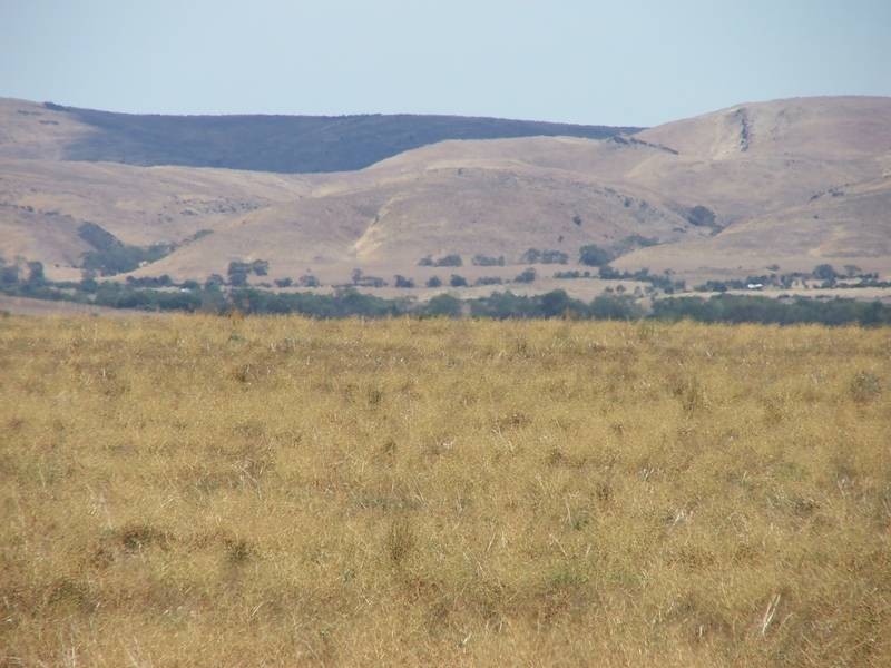 Sect 275 & Allot 2 Walker Flat Rd,, Angas Valley SA 5238