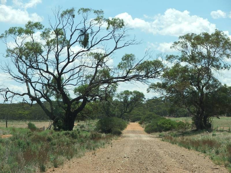 Sect 275 & Allot 2 Walker Flat Rd,, Angas Valley SA 5238