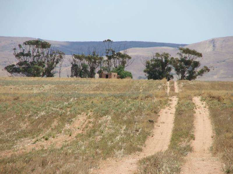 Sect 275 & Allot 2 Walker Flat Rd,, Angas Valley SA 5238