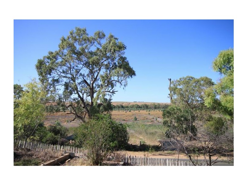 Allot 14 Purnong Road, Mannum SA 5238