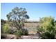 Allot 14 Purnong Road, Mannum SA 5238