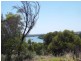 0 Chandler Ave, Mannum SA 5238