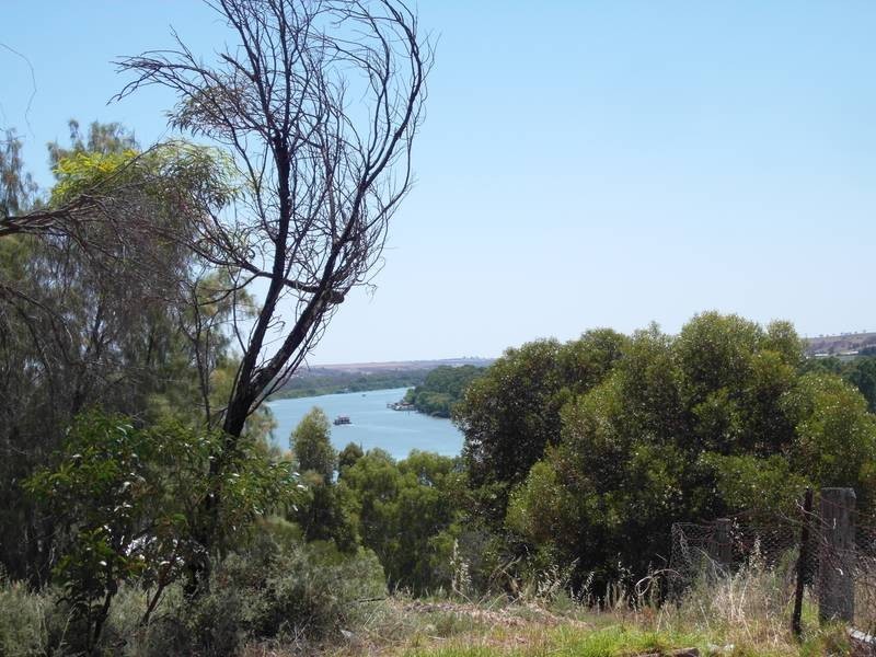 0 Chandler Ave, Mannum SA 5238