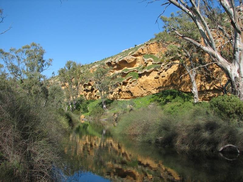 Sections Christian Road, Swan Reach SA 5354