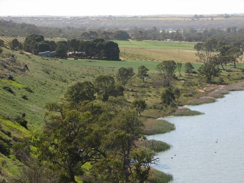 Sections Christian Road, Swan Reach SA 5354