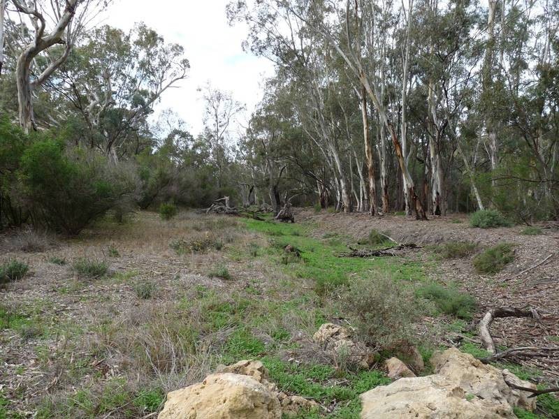 Sections Christian Road, Swan Reach SA 5354