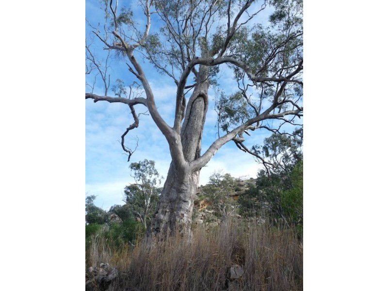 Sections Christian Road, Swan Reach SA 5354