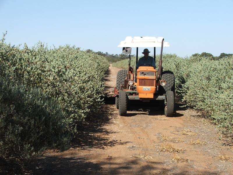 Sections Christian Road, Swan Reach SA 5354