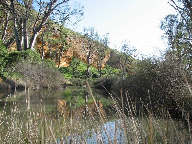 Sections Christian Road, Swan Reach SA 5354