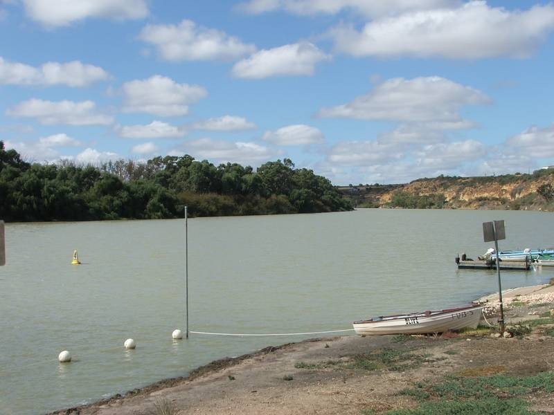 49 Caloote Landing, via Mannum, Caloote SA 5254