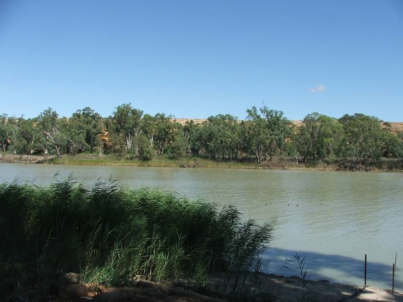 Site No 85 Marks Landing, Swan Reach SA 5354