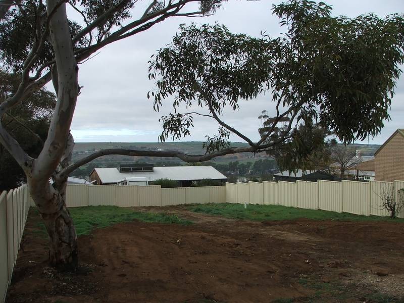 Lot 742 Busch Street, Mannum SA 5238