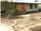 6 Baseby road, Mannum SA 5238