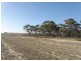 Lot 2 Sedan Road, Punthari, Mannum SA 5238