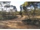 Lot 2 Sedan Rd, Punthari, Mannum SA 5238