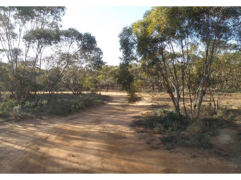 Lot 2 Sedan Rd, Punthari, Mannum SA 5238