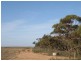 Lot 2 Sedan Rd, Punthari, Mannum SA 5238