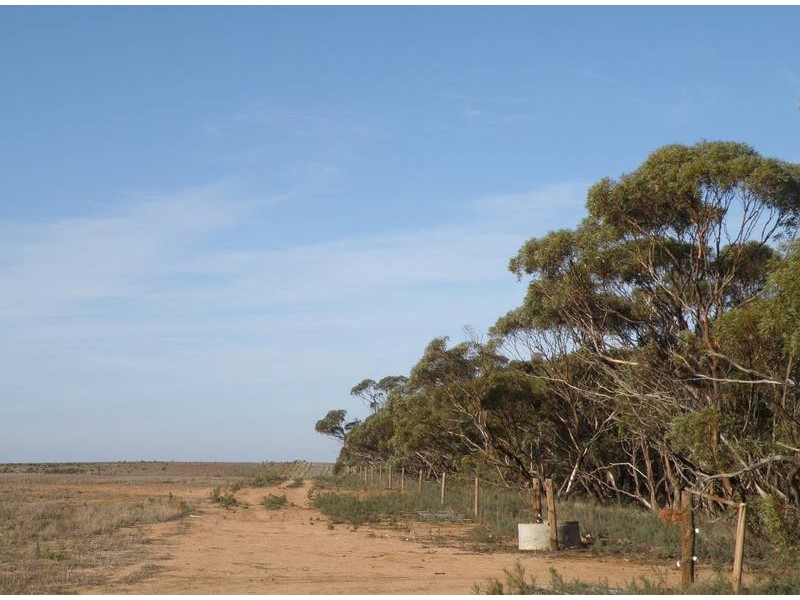 Lot 2 Sedan Rd, Punthari, Mannum SA 5238