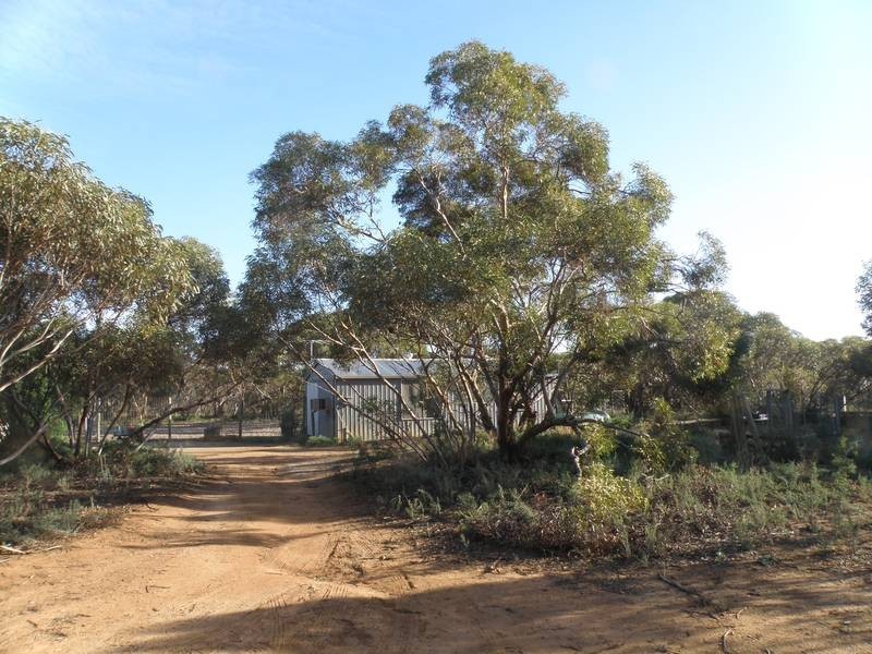 Lot 2 Sedan Rd, Punthari, Mannum SA 5238