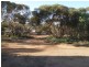 Lot 2 Sedan Rd, Punthari, Mannum SA 5238
