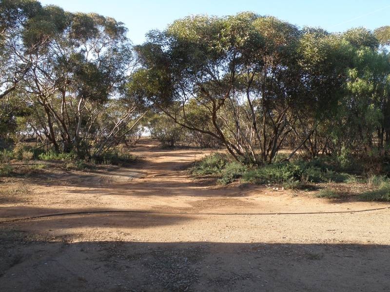Lot 2 Sedan Rd, Punthari, Mannum SA 5238