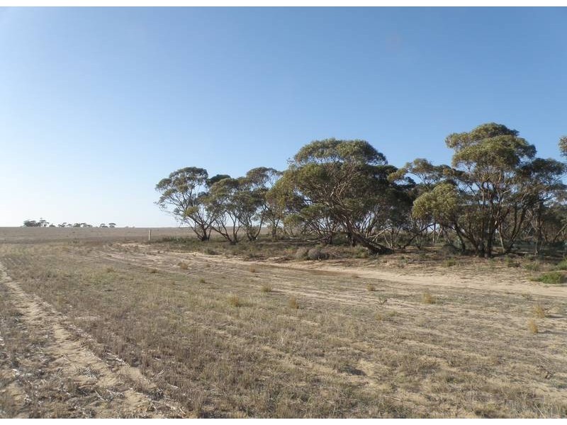 Lot 2 Sedan Rd, Punthari, Mannum SA 5238