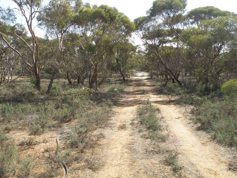Lot 2 Sedan Rd, Punthari, Mannum SA 5238