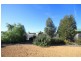 11 Ramm Road, Mannum SA 5238
