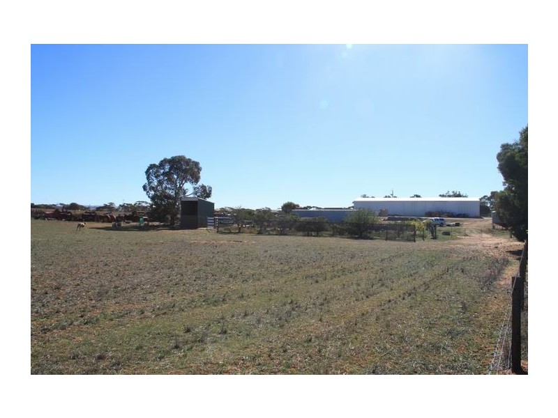 Sect 489 Flood Road, Mannum SA 5238